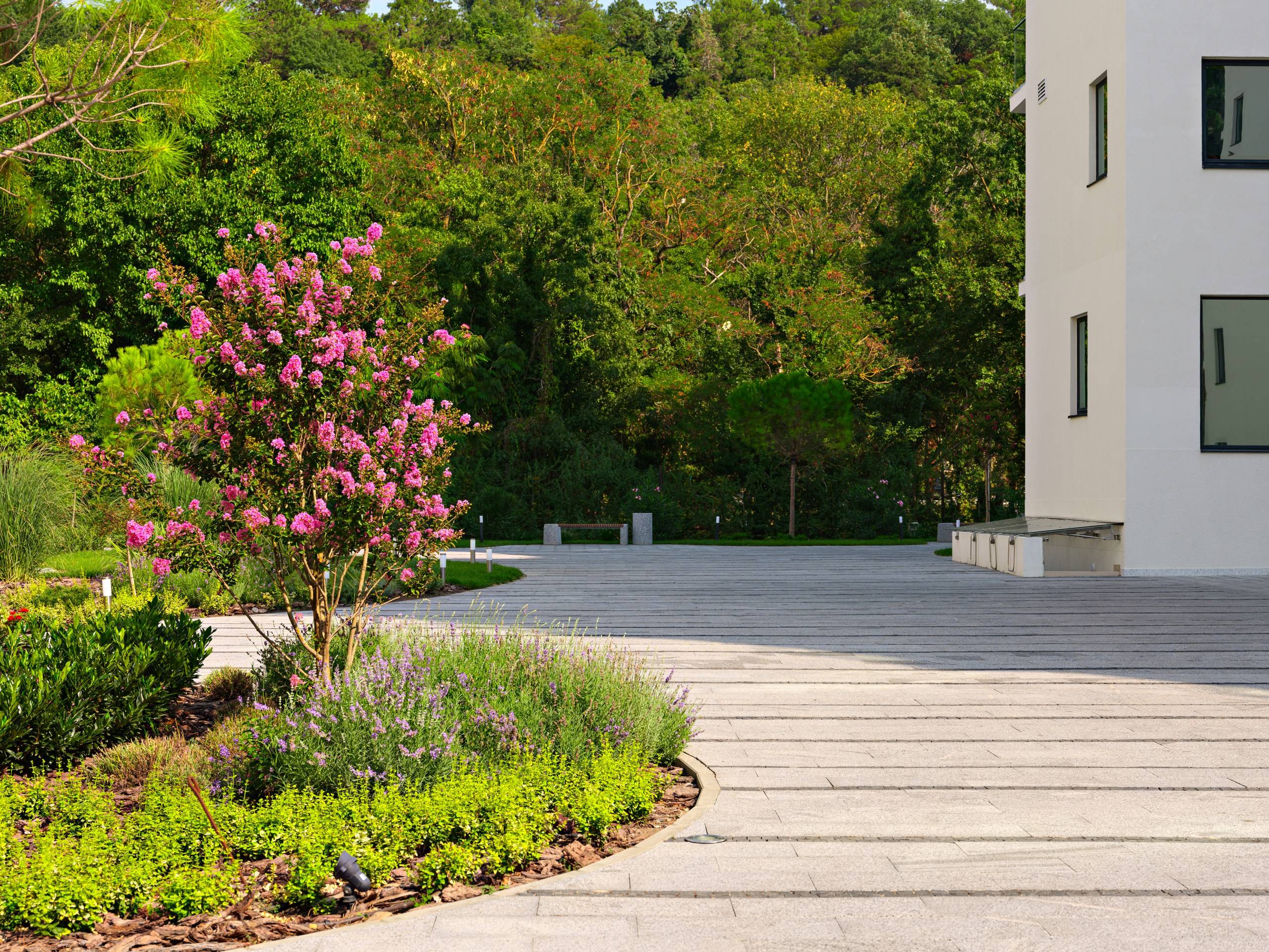 Отель Райморис - официальный сайт. Отдых на черном море. Геленджик. Бетта.