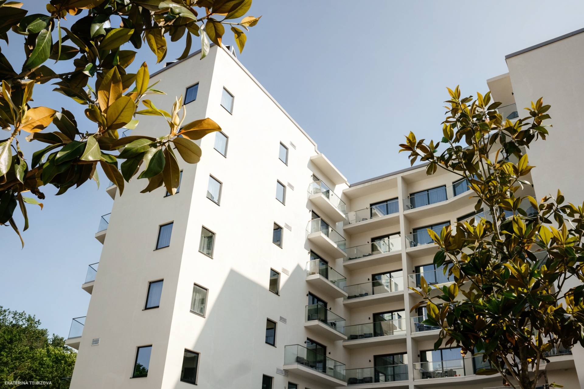 Отель Райморис - официальный сайт. Отдых на черном море. Геленджик. Бетта.