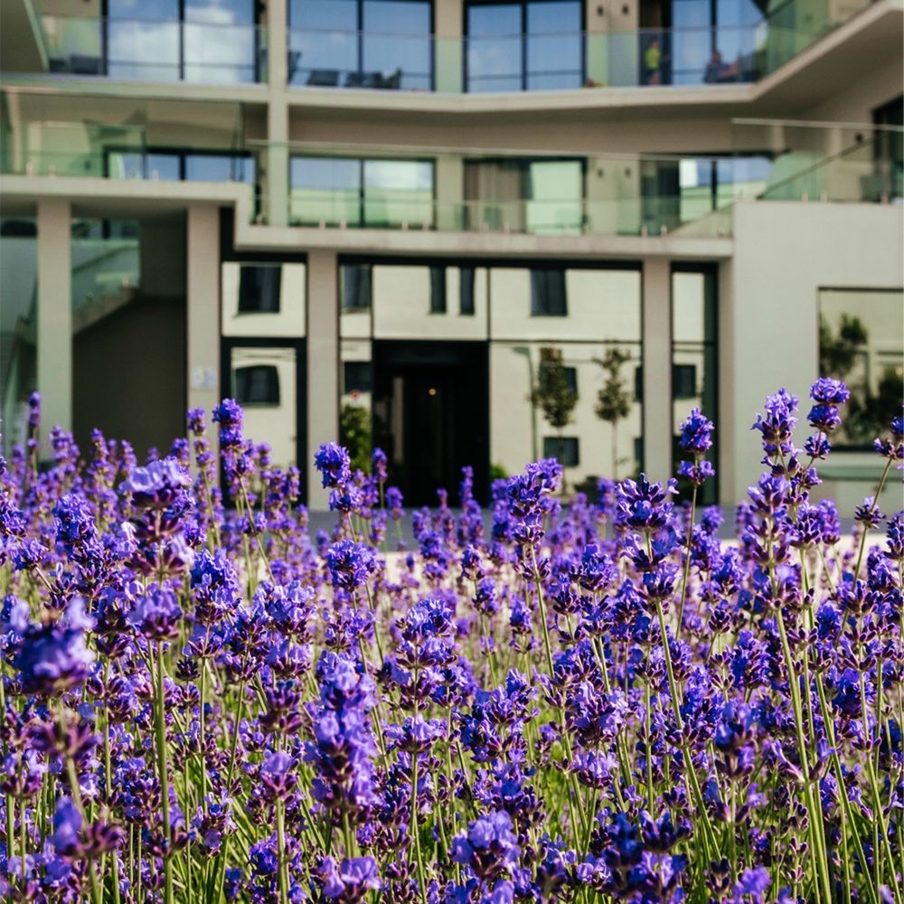 Отель Райморис - официальный сайт. Отдых на черном море. Геленджик. Бетта.